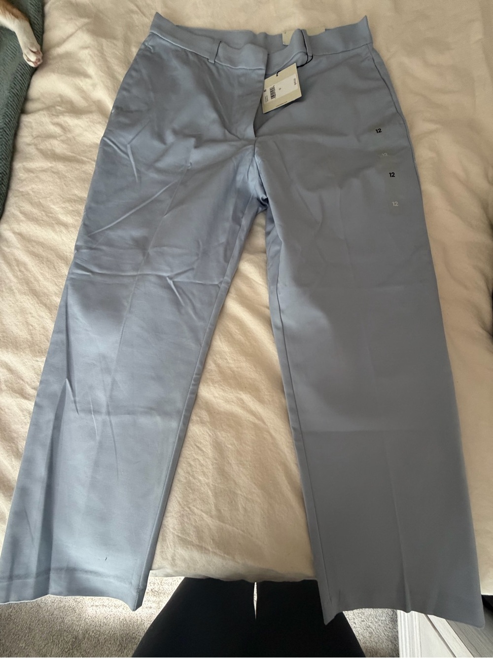 Calvin Klein Light Blue Cropped Women's Dress Pants NWT